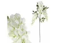 Vistárie White 1m 3 květy